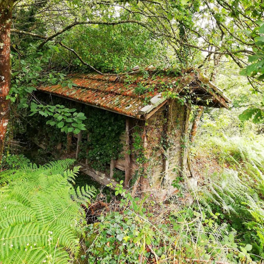 Гостевой дом Casa Do Cruzeiro Паредиш-ди-Кора Экстерьер фото